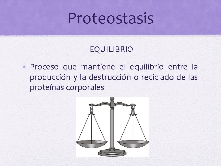 Proteostasis EQUILIBRIO • Proceso que mantiene el equilibrio entre la producción y la destrucción