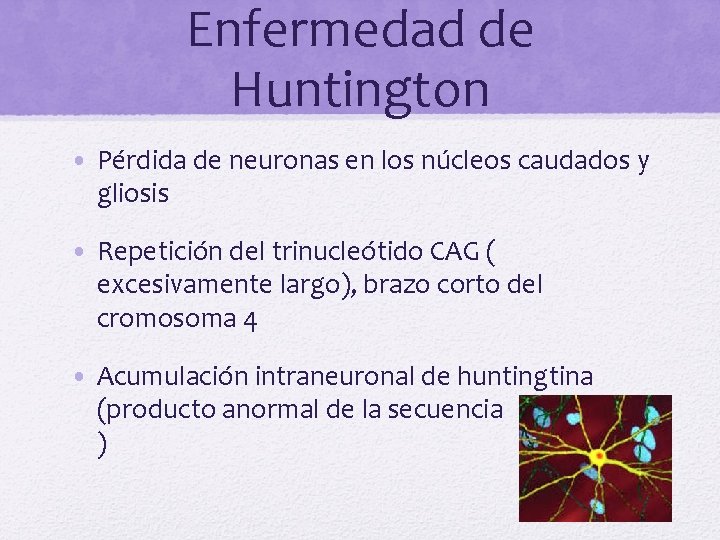Enfermedad de Huntington • Pérdida de neuronas en los núcleos caudados y gliosis •