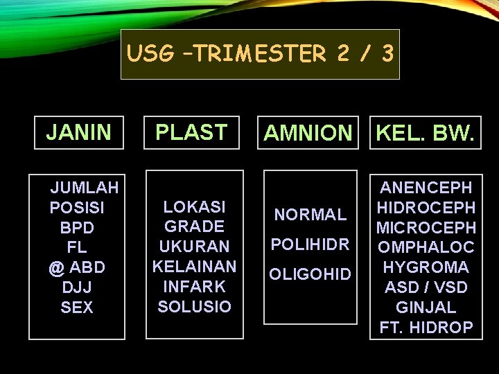 USG –TRIMESTER 2 / 3 JANIN JUMLAH POSISI BPD FL @ ABD DJJ SEX