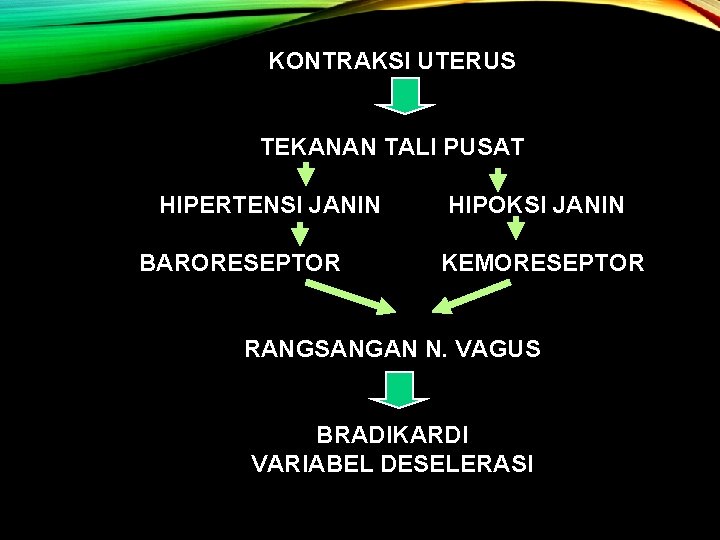 KONTRAKSI UTERUS TEKANAN TALI PUSAT HIPERTENSI JANIN BARORESEPTOR HIPOKSI JANIN KEMORESEPTOR RANGSANGAN N. VAGUS