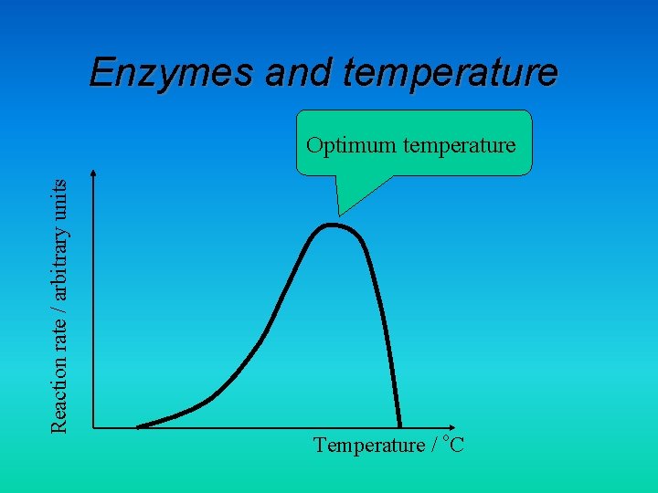 Enzymes and temperature Reaction rate / arbitrary units Optimum temperature Temperature / o. C
