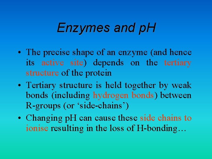 Enzymes and p. H • The precise shape of an enzyme (and hence its