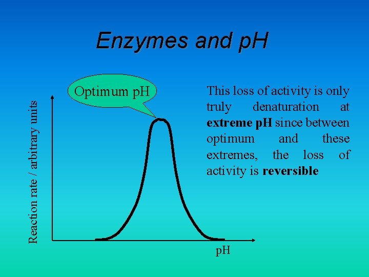 Enzymes and p. H Reaction rate / arbitrary units Optimum p. H This loss