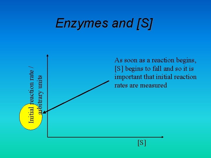 Initial reaction rate / arbitrary units Enzymes and [S] As soon as a reaction