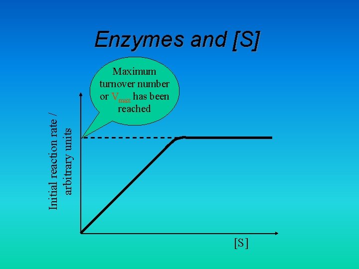Initial reaction rate / arbitrary units Enzymes and [S] Maximum turnover number or Vmax