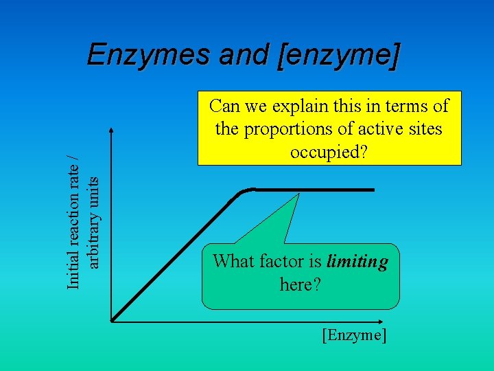 Initial reaction rate / arbitrary units Enzymes and [enzyme] Can we explain this in