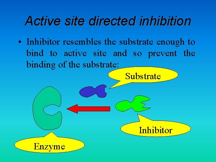 Active site directed inhibition • Inhibitor resembles the substrate enough to bind to active
