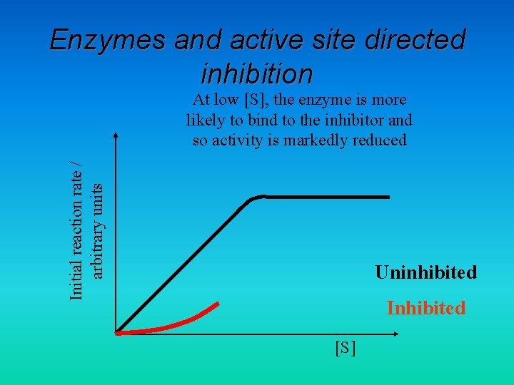 Enzymes and active site directed inhibition Initial reaction rate / arbitrary units At low