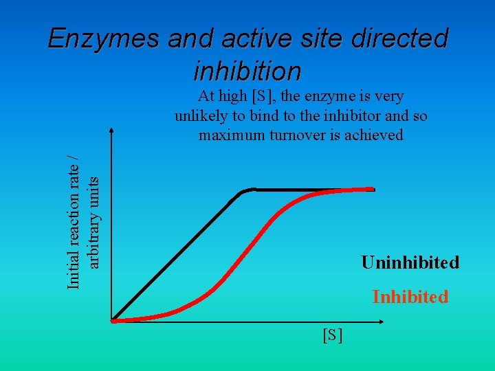 Enzymes and active site directed inhibition Initial reaction rate / arbitrary units At high