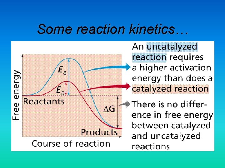 Some reaction kinetics… 