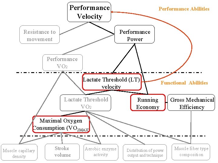 Performance Velocity Resistance to movement Performance Abilities Performance Power Performance VO 2 Lactate Threshold