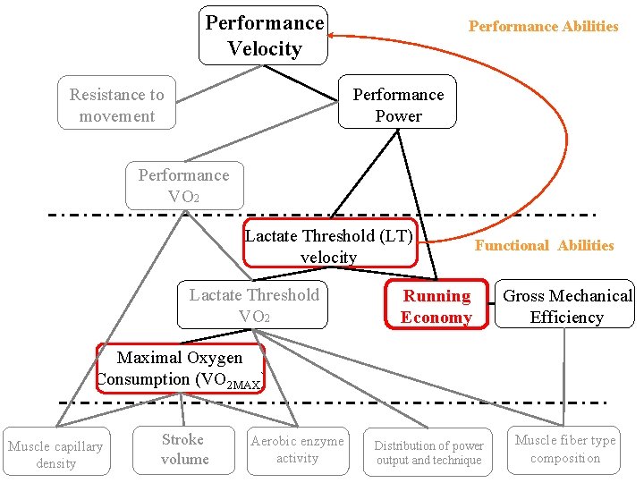 Performance Velocity Resistance to movement Performance Abilities Performance Power Performance VO 2 Lactate Threshold