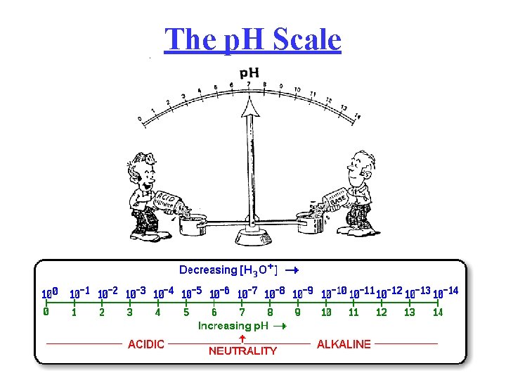 The p. H Scale 