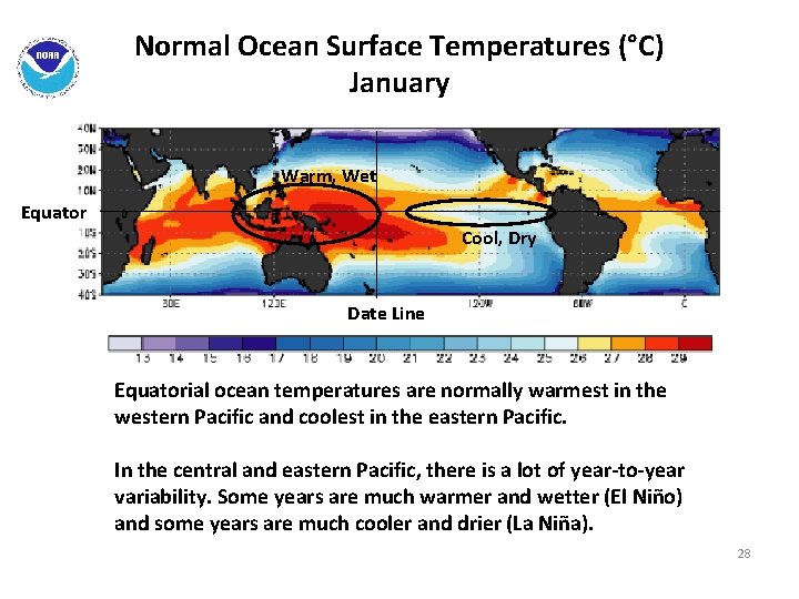 Normal Ocean Surface Temperatures (°C) January Warm, Wet Equator Cool, Dry Date Line Equatorial