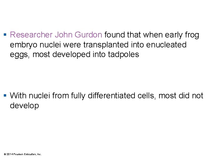 § Researcher John Gurdon found that when early frog embryo nuclei were transplanted into