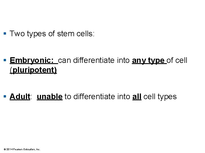 § Two types of stem cells: § Embryonic: can differentiate into any type of