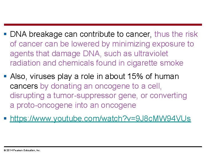 § DNA breakage can contribute to cancer, thus the risk of cancer can be