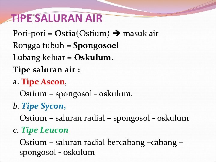 TIPE SALURAN AIR Pori-pori = Ostia(Ostium) masuk air Rongga tubuh = Spongosoel Lubang keluar