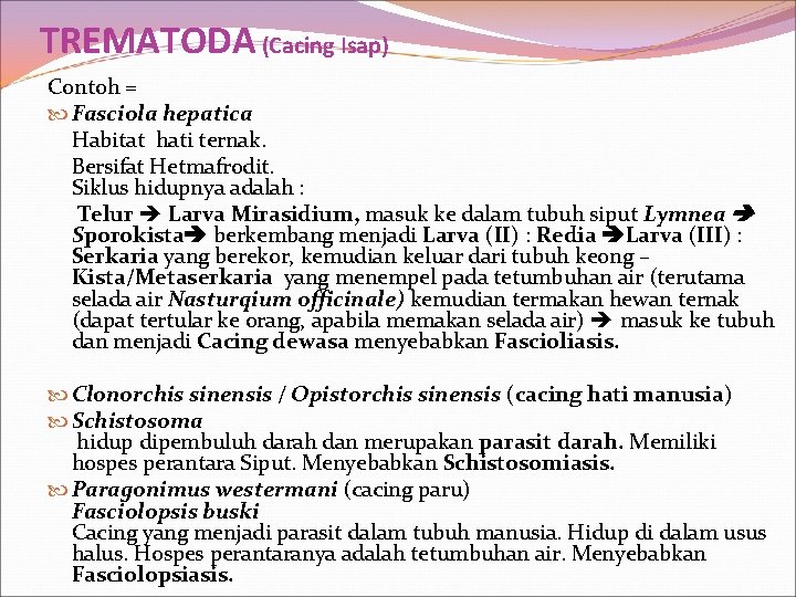 TREMATODA (Cacing Isap) Contoh = Fasciola hepatica Habitat hati ternak. Bersifat Hetmafrodit. Siklus hidupnya