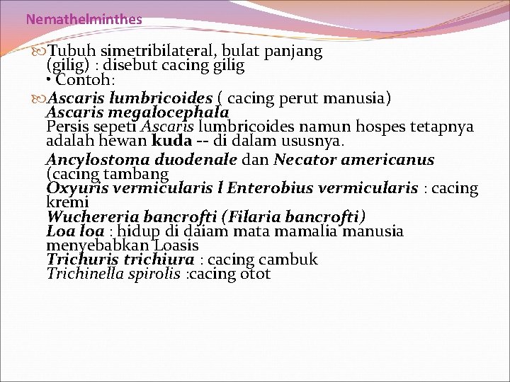 Nemathelminthes Tubuh simetribilateral, bulat panjang (gilig) : disebut cacing gilig • Contoh: Ascaris lumbricoides