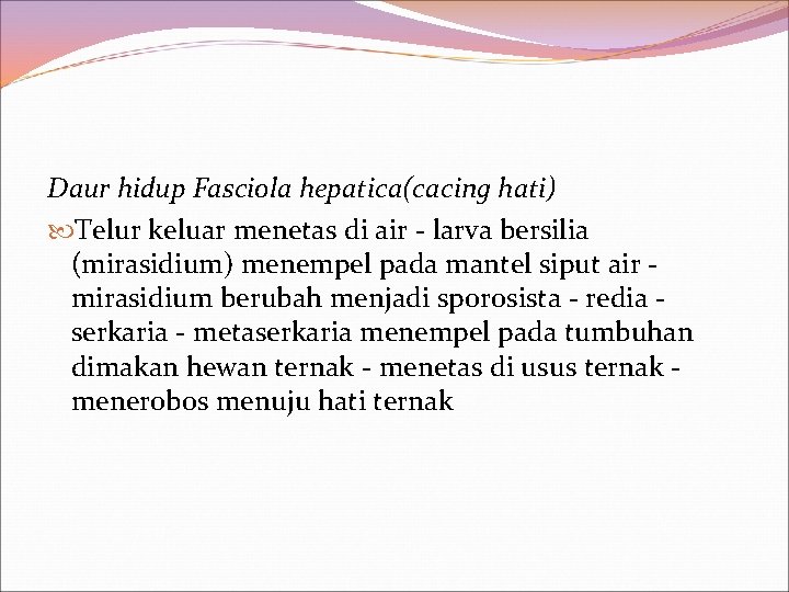 Daur hidup Fasciola hepatica(cacing hati) Telur keluar menetas di air - larva bersilia (mirasidium)