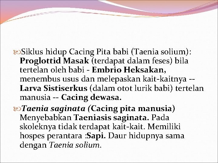  Siklus hidup Cacing Pita babi (Taenia solium): Proglottid Masak (terdapat dalam feses) bila