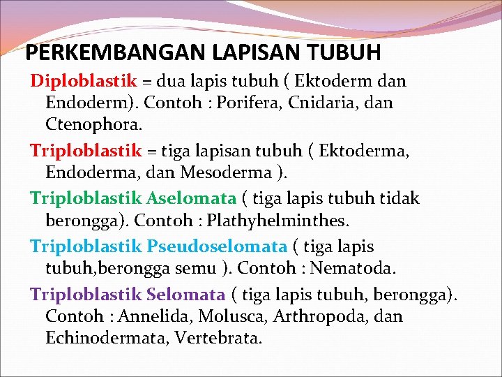 PERKEMBANGAN LAPISAN TUBUH Diploblastik = dua lapis tubuh ( Ektoderm dan Endoderm). Contoh :