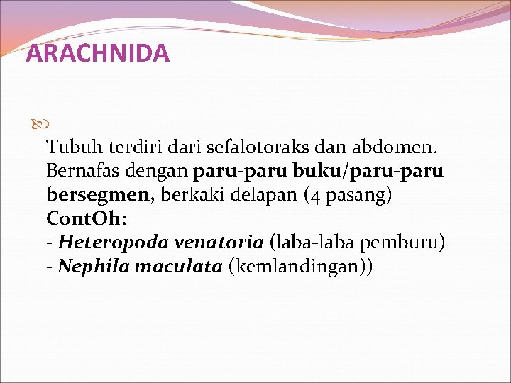 ARACHNIDA Tubuh terdiri dari sefalotoraks dan abdomen. Bernafas dengan paru-paru buku/paru-paru bersegmen, berkaki delapan