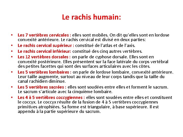 Le rachis humain: • • Les 7 vertèbres cervicales : elles sont mobiles. On