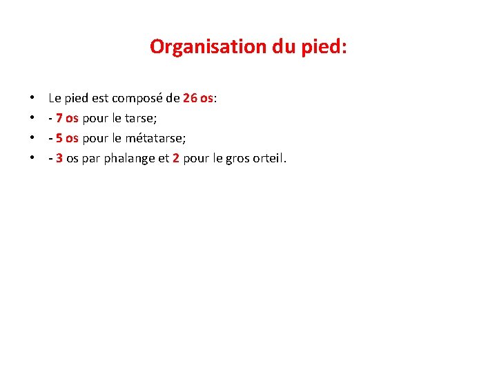 Organisation du pied: • • Le pied est composé de 26 os: - 7