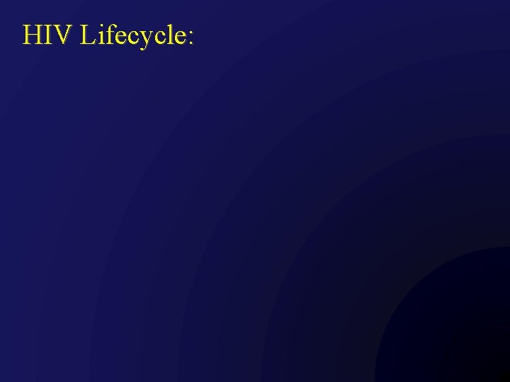 HIV Lifecycle: 