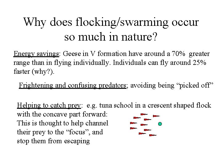 Why does flocking/swarming occur so much in nature? Energy savings: Geese in V formation