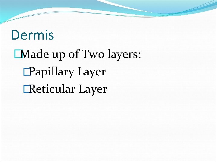 Dermis �Made up of Two layers: �Papillary Layer �Reticular Layer 