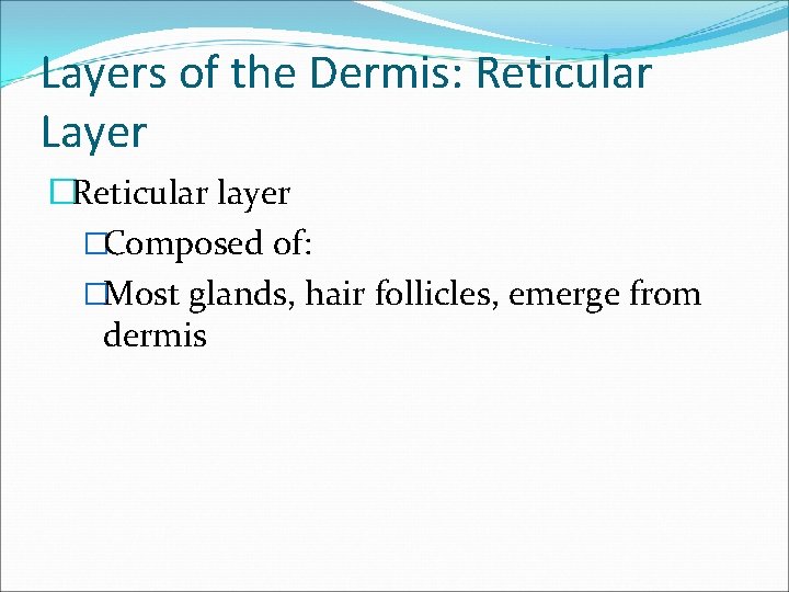 Layers of the Dermis: Reticular Layer �Reticular layer �Composed of: �Most glands, hair follicles,