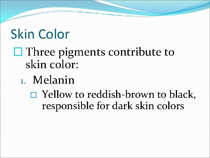 Skin Color � Three pigments contribute to skin color: 1. Melanin � Yellow to