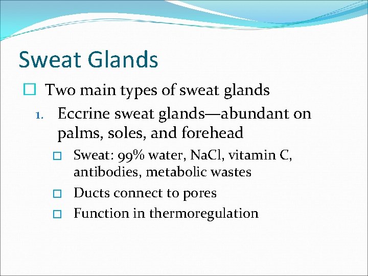 Sweat Glands � Two main types of sweat glands 1. Eccrine sweat glands—abundant on