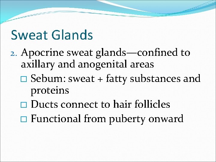 Sweat Glands 2. Apocrine sweat glands—confined to axillary and anogenital areas � Sebum: sweat