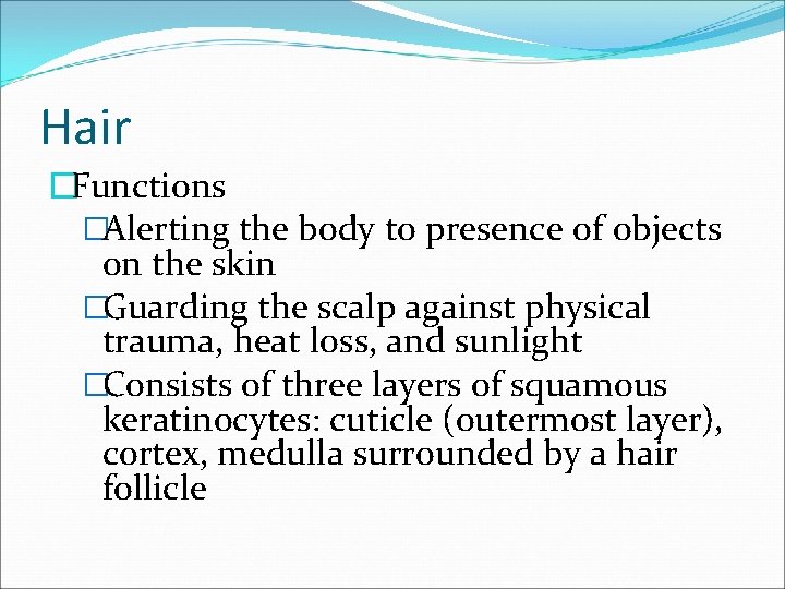 Hair �Functions �Alerting the body to presence of objects on the skin �Guarding the