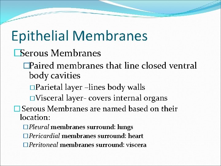 Epithelial Membranes �Serous Membranes �Paired membranes that line closed ventral body cavities �Parietal layer