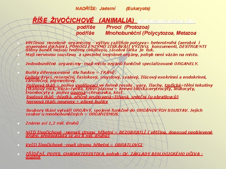 NADŘÍŠE: Jaderní (Eukaryota) ŘÍŠE ŽIVOČICHOVÉ (ANIMALIA) podříše dostudovat ze cvičení ZBi ) Prvoci (Protozoa)