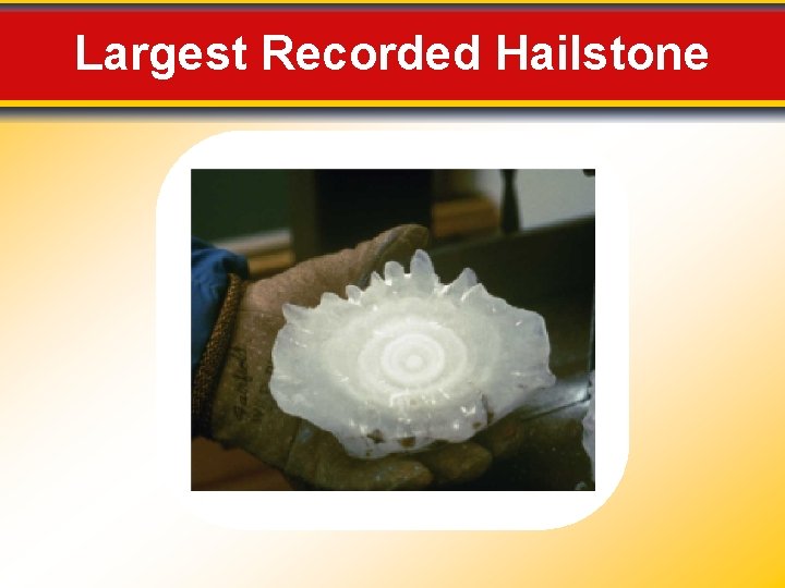 Largest Recorded Hailstone 