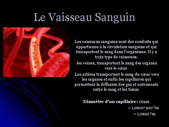 Le Vaisseau Sanguin Les vaisseaux sanguins sont des conduits qui appartienne à la circulation