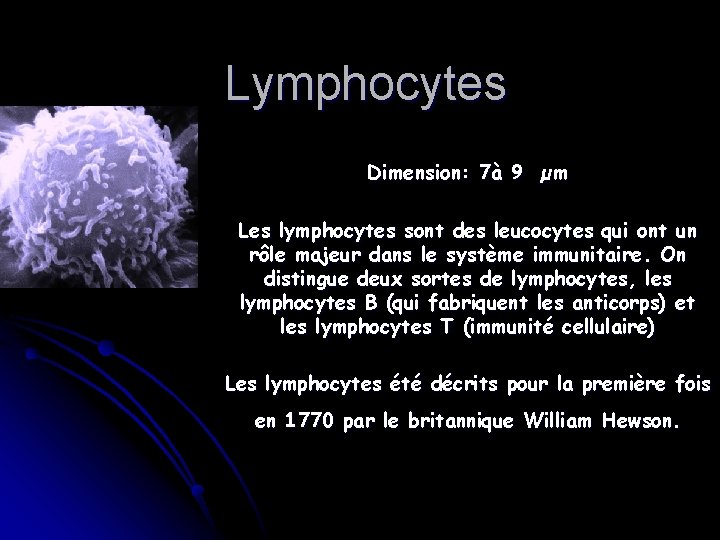 Lymphocytes Dimension: 7à 9 µm Les lymphocytes sont des leucocytes qui ont un rôle