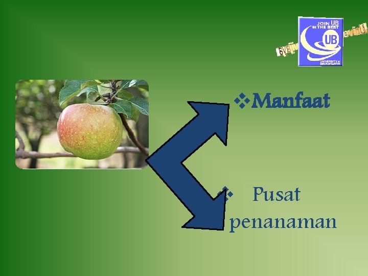 v. Manfaat v Pusat penanaman 