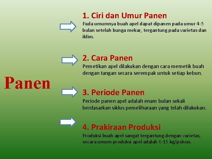 1. Ciri dan Umur Panen Pada umumnya buah apel dapat dipanen pada umur 4