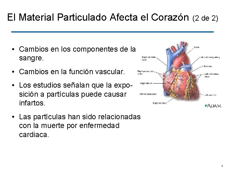 El Material Particulado Afecta el Corazón (2 de 2) • Cambios en los componentes