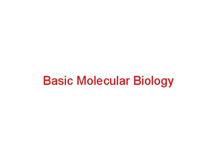 Basic Molecular Biology 