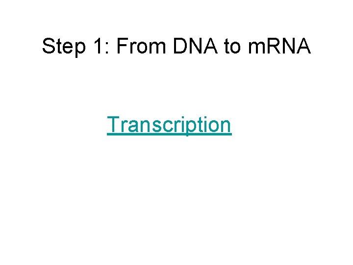 Step 1: From DNA to m. RNA Transcription 