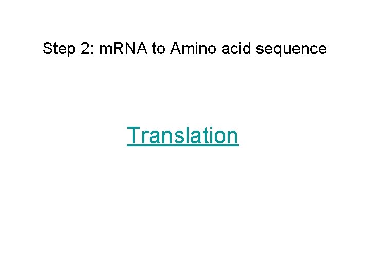 Step 2: m. RNA to Amino acid sequence Translation 