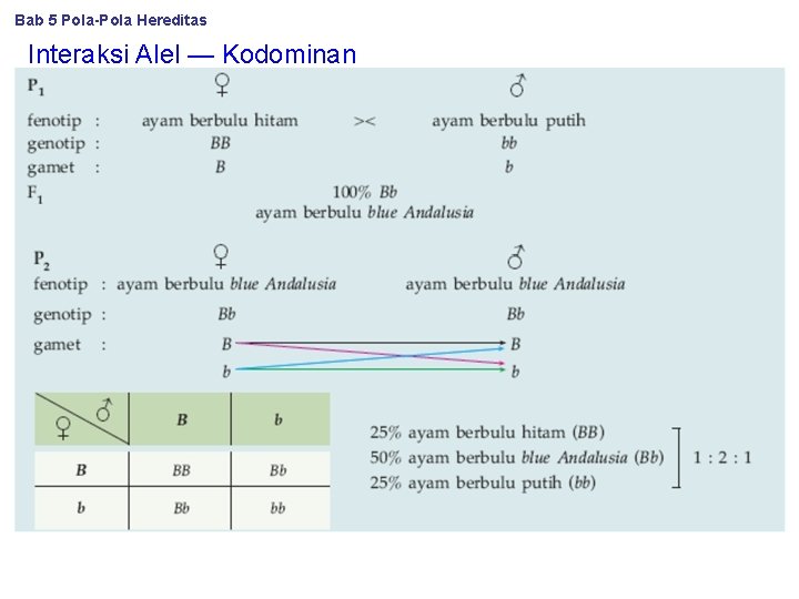 Bab 5 Pola-Pola Hereditas Interaksi Alel — Kodominan 